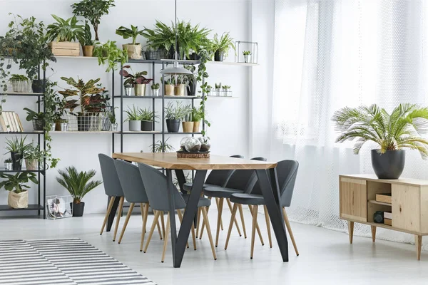 Fern Wooden Cupboard Window Floral Dining Room Interior Grey Chairs — Stock Photo, Image