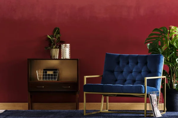 Malá Dřevěná Skříň Rostlin Tmavě Modré Křeslo Stojící Interiéru Obývacího — Stock fotografie
