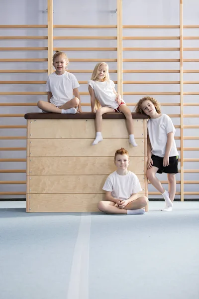 Gruppe Fröhlicher Kinder Sportkleidung Sitzt Auf Einer Hölzernen Voltigierkiste — Stockfoto