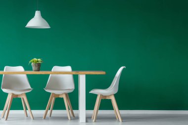 Yeşil yemek odası iç