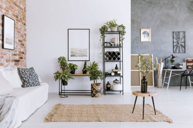 Geniş doğal oturma odası iç 