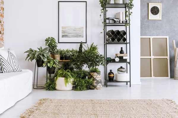 Plants in living room interior — Stock Photo, Image