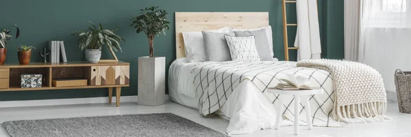 Letto interno verde — Foto Stock