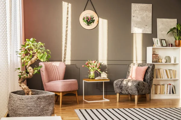 Bonsai in elegante soggiorno — Foto Stock