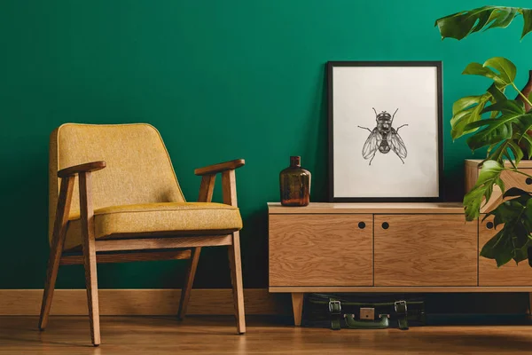 Insektenposter und gelber Sessel — Stockfoto