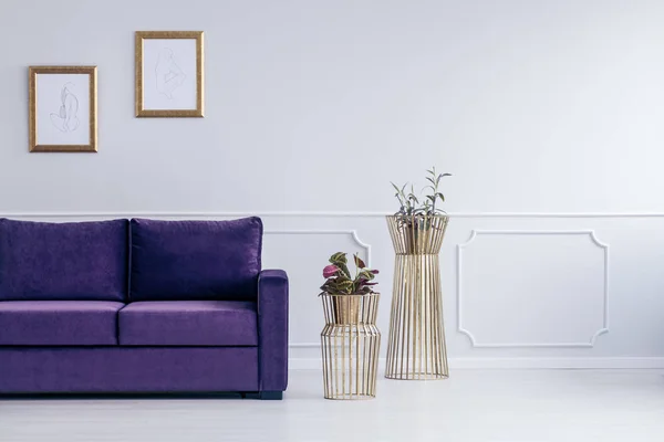 Ouro e roxo sala de estar — Fotografia de Stock