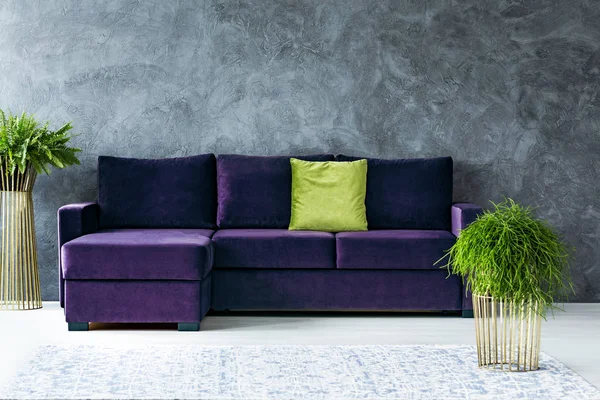 Green and purple living room — Stock Photo, Image