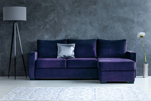 Dark purple living room interior — Stock Photo, Image