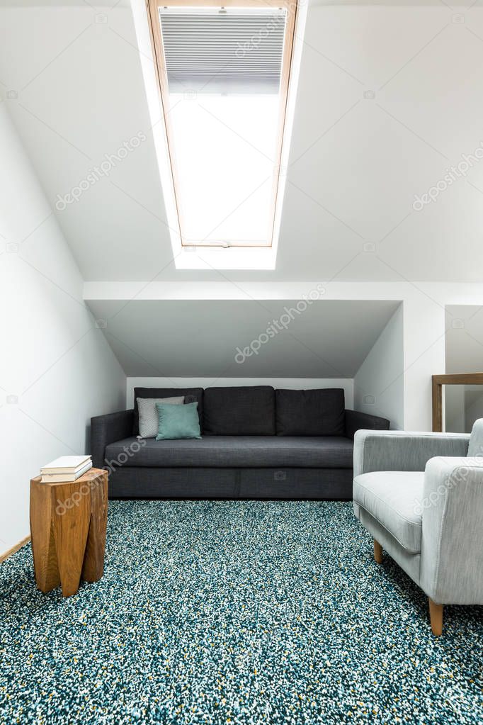 Living room with roof window