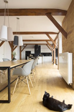 Açık alan içinde siyah kedi