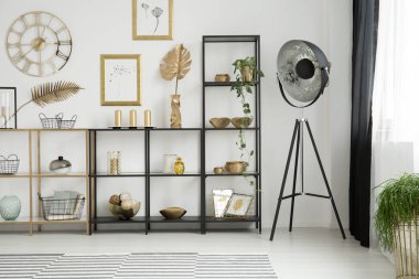 Raflar oturma odası iç çizimleri ile beyaz duvara altın yapraklarla yanındaki siyah lamba