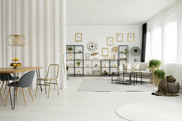 Öppet Utrymme Lägenhet Interiör Med Guld Dekorationer Och Växter Vardagsrum — Stockfoto