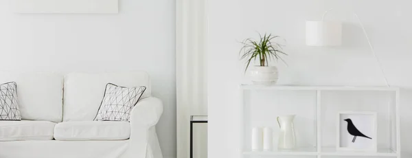 Крупный План Белого Металлического Стеллажа Небольшим Пальмовым Растением Диваном Фоне — стоковое фото