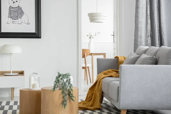 Gri kanepe ve ahşap mobilya ile trendy açık alan oturma ve yemek odası iç — Stok fotoğraf