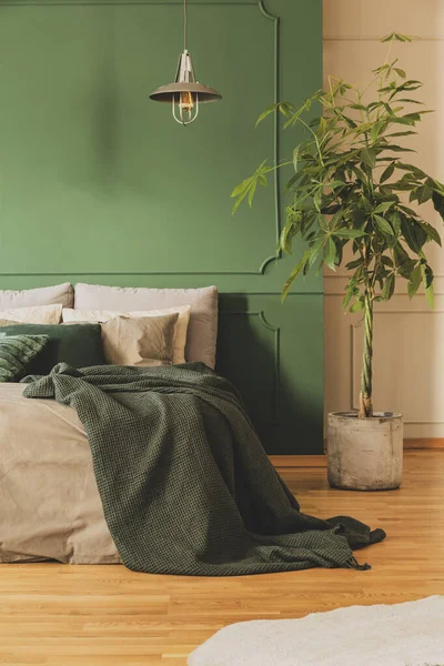 Krásný interiér ložnice se zeleným designem, kopírovací prostor na prázdné stěně — Stock fotografie