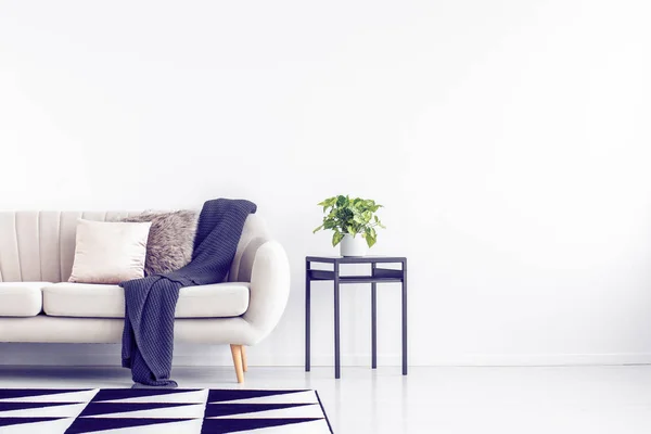 Groene plant in grijze pot op zwarte industriële tafel naast beige bank met kussens en deken — Stockfoto