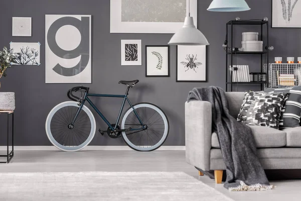 Стильный винтажный велосипед в сером интерьере гостиной с удобным диваном и галереей плакатов — стоковое фото