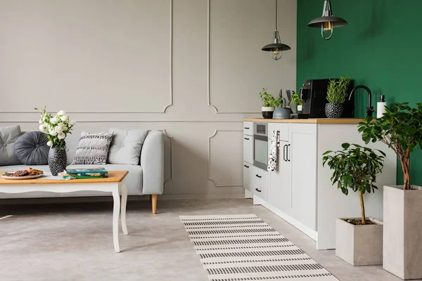 Відкритий простір кухні та інтер'єру вітальні в маленькій квартирі студії — стокове фото