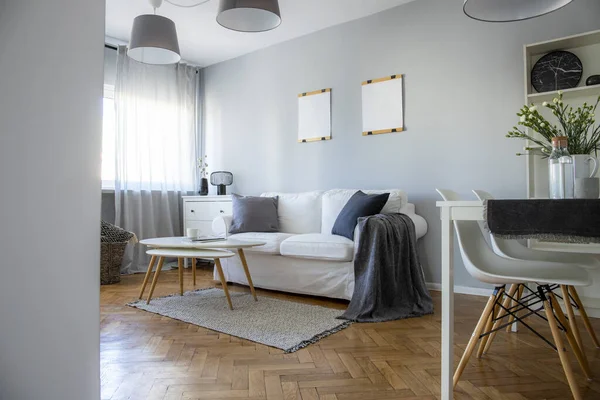 Grey elegant living room interior with white furniture — Stock Photo, Image