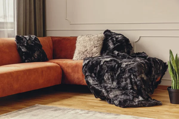 Eleganckie wnętrze salonu z narożną sofą z poduszkami, miejsce na ksero na pustej szarej ścianie — Zdjęcie stockowe