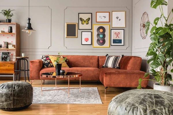 Галерея модных постеров в элегантном сером интерьере гостиной с коричневым угловым диваном — стоковое фото
