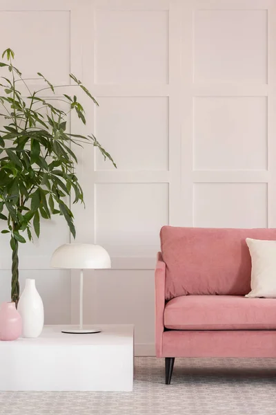 Nagy zöld növény pot mellett pasztell rózsaszín kanapé fehér elegáns belső — Stock Fotó