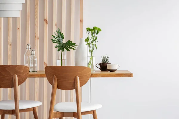 Groene planten in kleine vazen op lange houten eettafel in licht interieur — Stockfoto