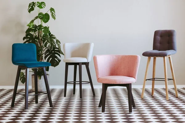 Intérieur noir et blanc avec plantes vertes et fauteuils colorés à la mode — Photo