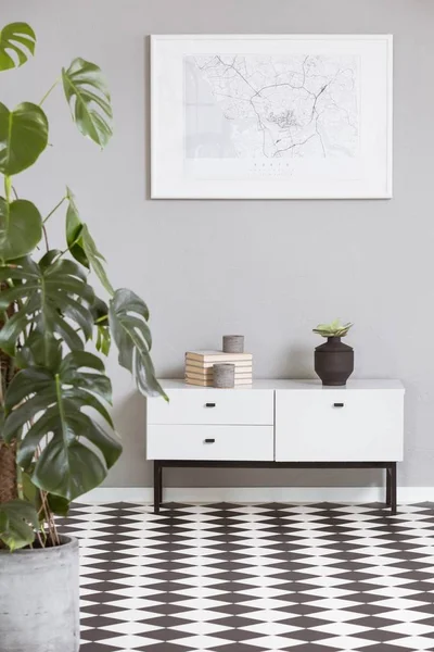 Map in white frame above shelf in elegant black and white interior with big green plant — 스톡 사진