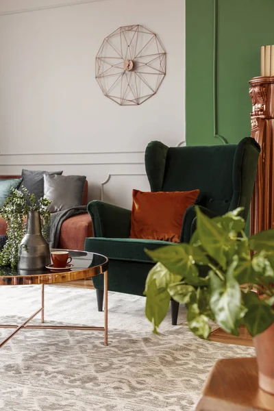Giungla urbana in bellissimo soggiorno con interni grigi, arancioni e verdi — Foto Stock