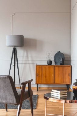 Gri duvarlı şık İskandinav oturma odası iç Trendy vintage koltuk