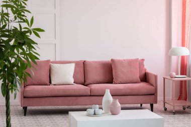 Yastıklı zarif kanepenin önünde garip biblolar olan şık bir sehpa.