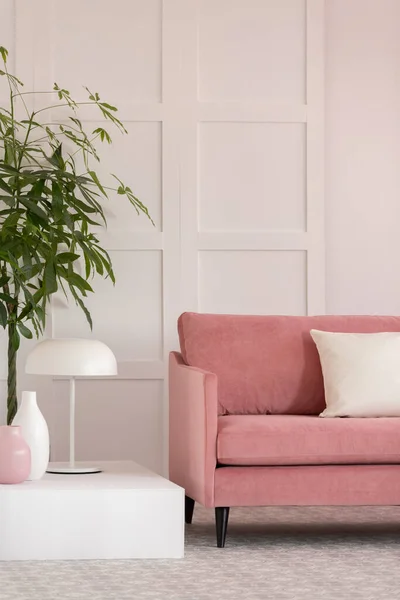 유행하는 디자인의 멋진 벨벳 파스텔 핑크 소파가 있는 하얀 거실 내부 — 스톡 사진