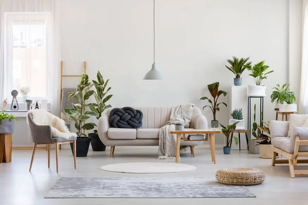 Urbaner Dschungel Trendigen Wohnzimmerinterieur Mit Weißer Couch Mit Schwarzem Kissen — Stockfoto
