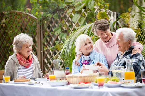 Äldre Människor Mötet Med Vänner Trädgårdsfest — Stockfoto