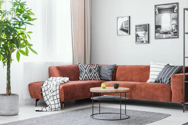 Große Grüne Pflanze Kleiner Runder Couchtisch Und Ecksofa Eleganten Wohnzimmer — Stockfoto