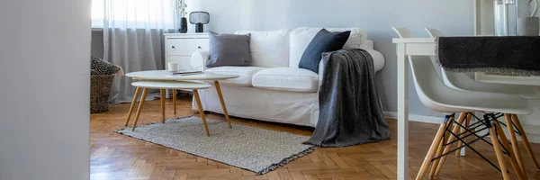 Gris Elegante Salón Interior Con Muebles Blancos — Foto de Stock