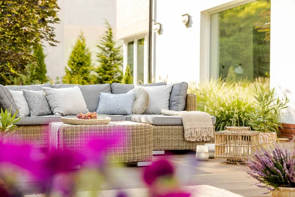 Světlý Letní Den Zelené Zahradě Elegantního Příměstského Domova — Stock fotografie
