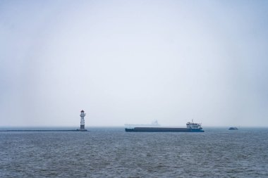 Yeşil Yapraklı Bitki