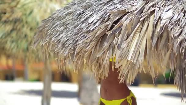 Μαύρο κορίτσι στο μπικίνι που ακουμπά στην παραλία — Αρχείο Βίντεο