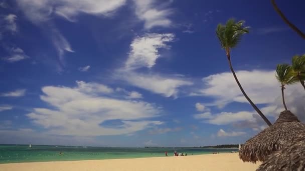 Прогулка по роскошному пляжу — стоковое видео