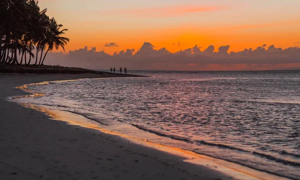 Закат и силуэт пальм и людей на пляже — стоковое фото