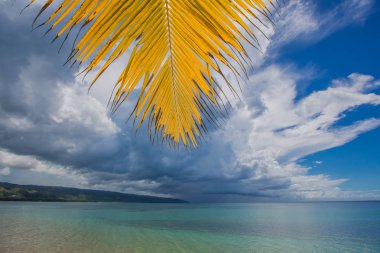 palmiye ağaçları ile vahşi plaj tropikal lagün üzerinde