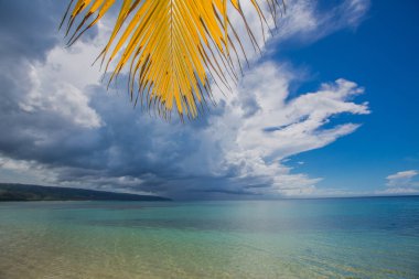 palmiye ağaçları ile vahşi plaj tropikal lagün üzerinde