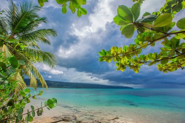 palmiye ağaçları ile vahşi plaj tropikal lagün üzerinde