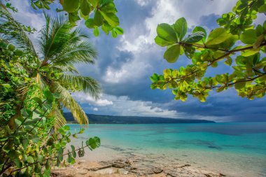 palmiye ağaçları ile vahşi plaj tropikal lagün üzerinde
