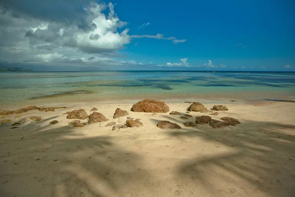 palmiye ağaçları ile vahşi plaj tropikal lagün üzerinde