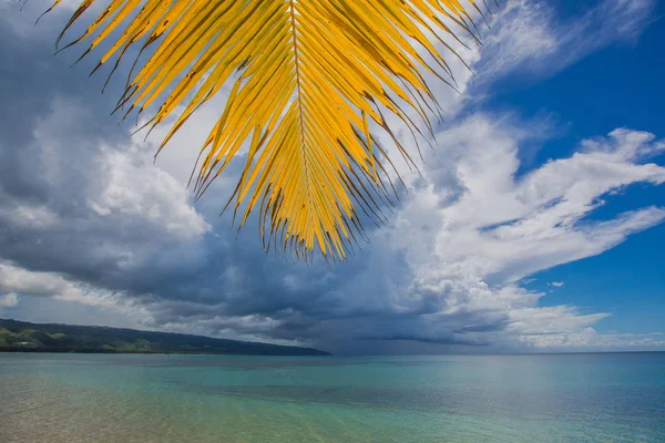 palmiye ağaçları ile vahşi plaj tropikal lagün üzerinde