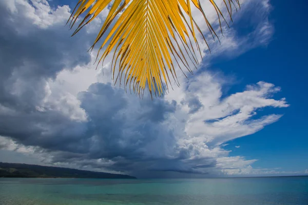 palmiye ağaçları ile vahşi plaj tropikal lagün üzerinde