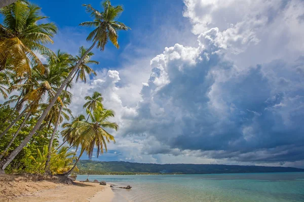 palmiye ağaçları ile vahşi plaj tropikal lagün üzerinde